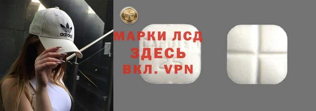 винт Новодвинск