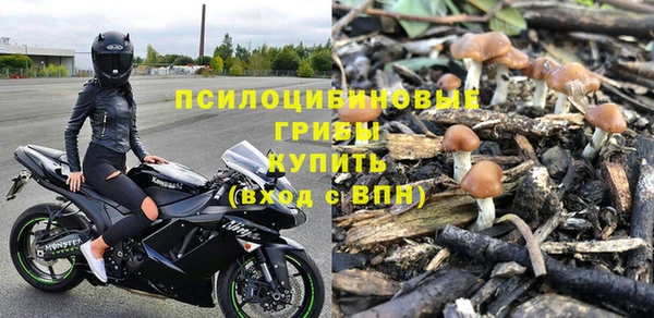 бошки Новокубанск