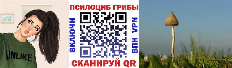 Галлюциногенные грибы мухоморы МЕГА онион Барыш купить